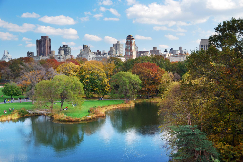 Central Park: The Heart of New York City - Cloze Passage Exercise Online